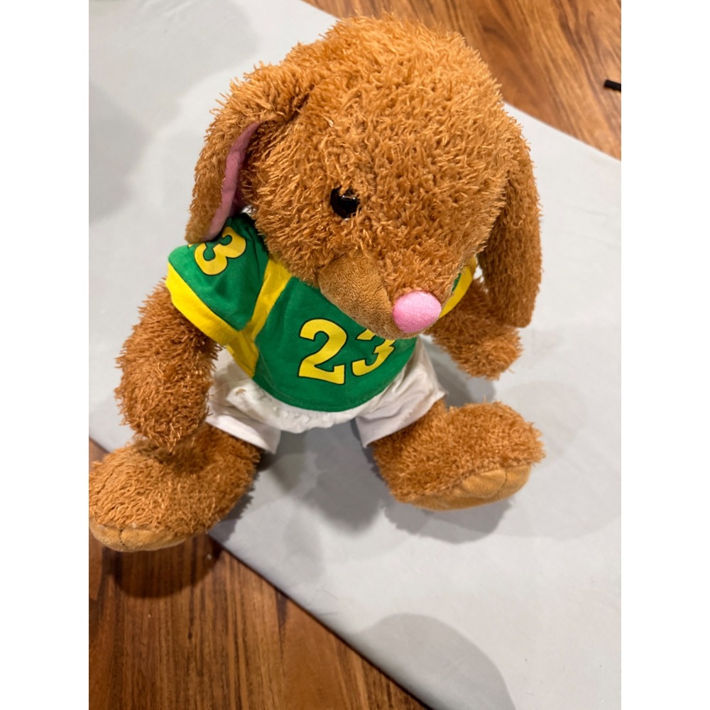 Sporty Kids Unbranded Bunny Rabbit Plush Toy Small Brown Green